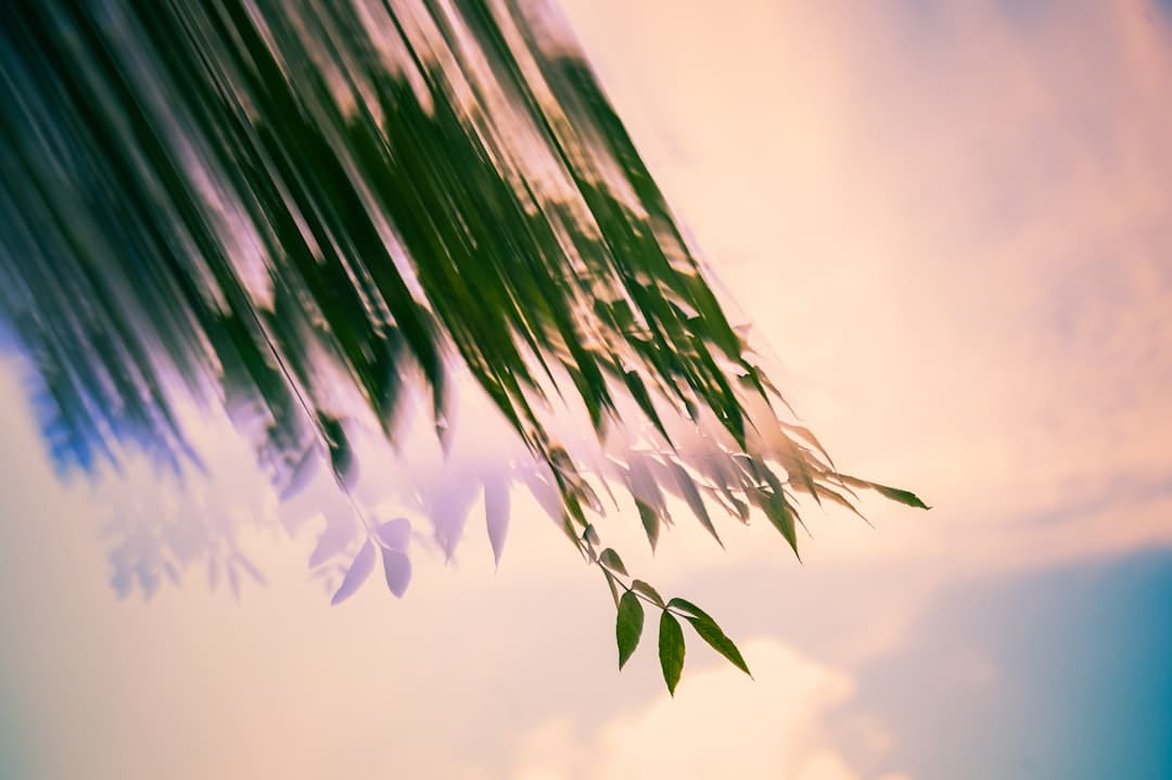 冯巩一句“我想死你们了”，这个年货节总算有了“年味”